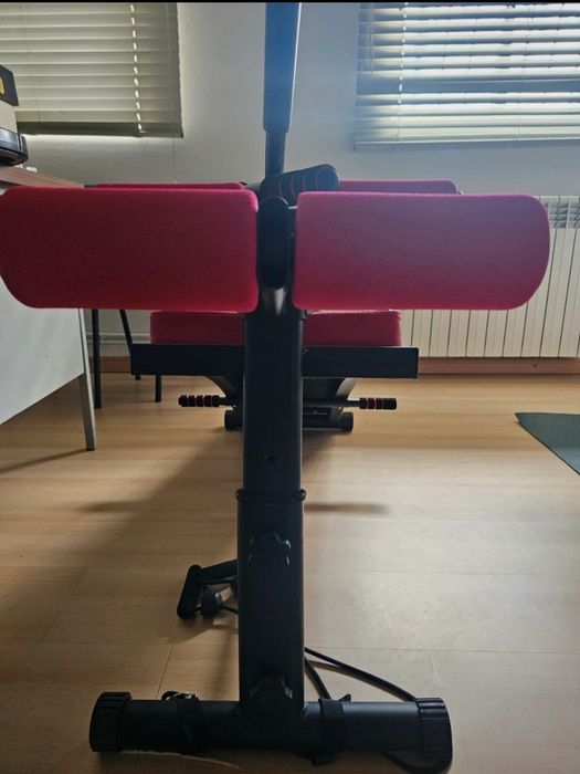 Abdominal Bench439425788387020802