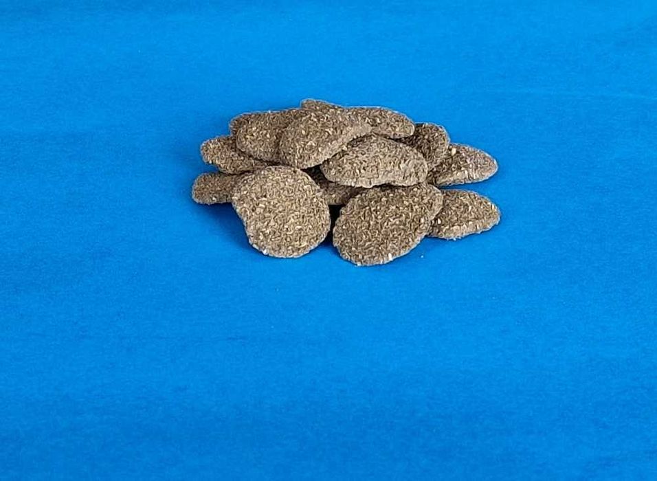 Comida Peixes – Pastilhas de fundo (Spirulina e Algas) 25gr