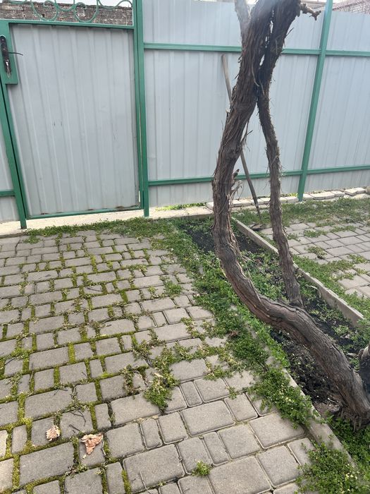 Продать дом Суворовский район