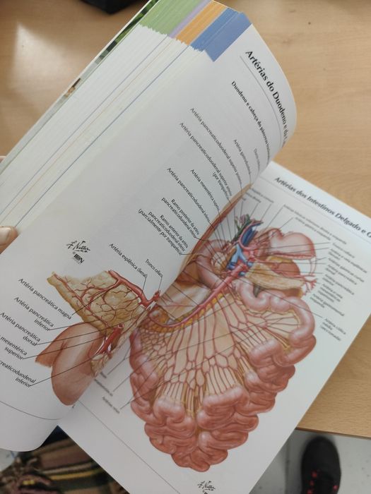 Atlas de Anatomia Humana 5.edição