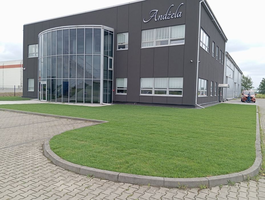 Usługi ogrodnicze/Zakładanie/Projektowanie/Pielęgnacja/Nawadnianie