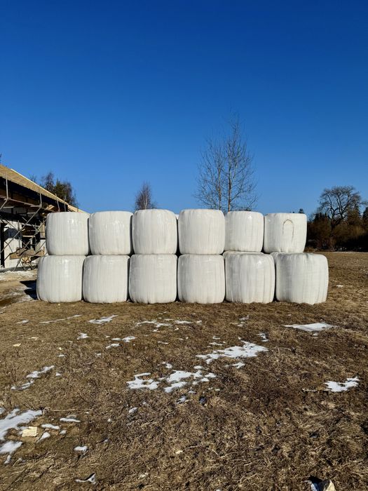 Sianokiszonka baloty bele