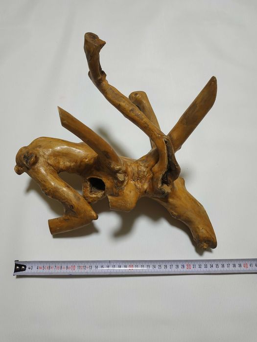 Коряга в террариум и для декора