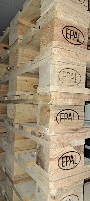 Paletes em madeira