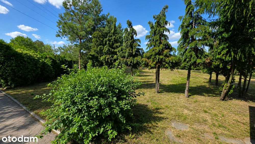 Dom – Adamowice, powiat kutnowski - Widok 5