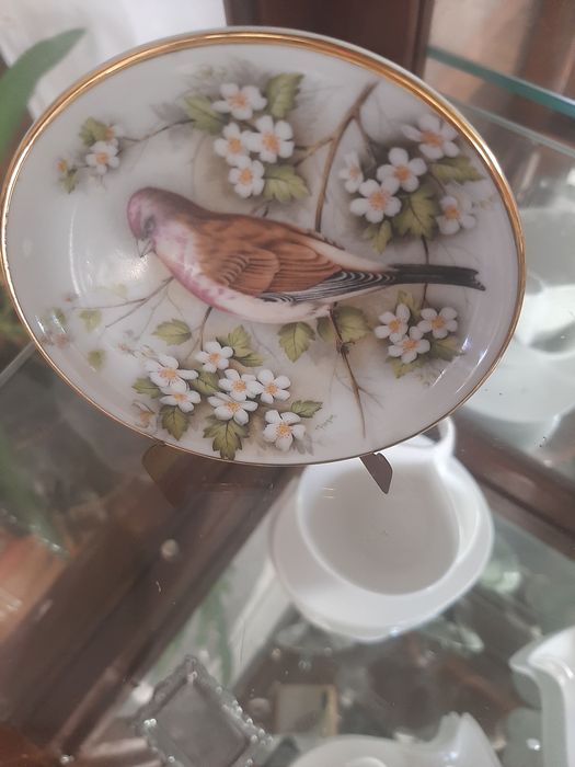 Porcelain Plates434775662778787841