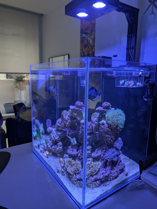 Vendo aquário reef de água salgada completo