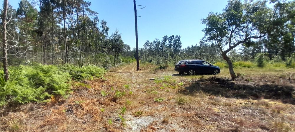 Oportunidade única de um ótimo investimento, Terreno rústico com 800m2