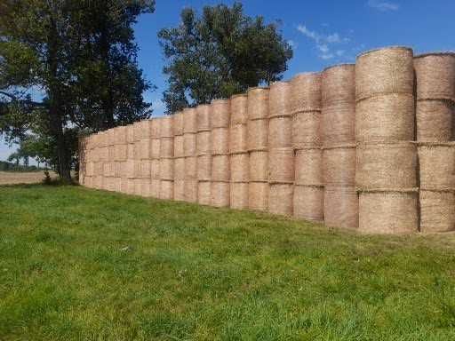 Sprzedam Słoma w belach 130