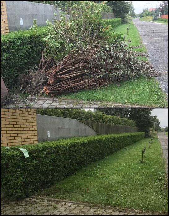 Opróżnianie Oczyszczanie Mieszkań Wywóz Mebli Śmieci Gruzu Gratów AGD