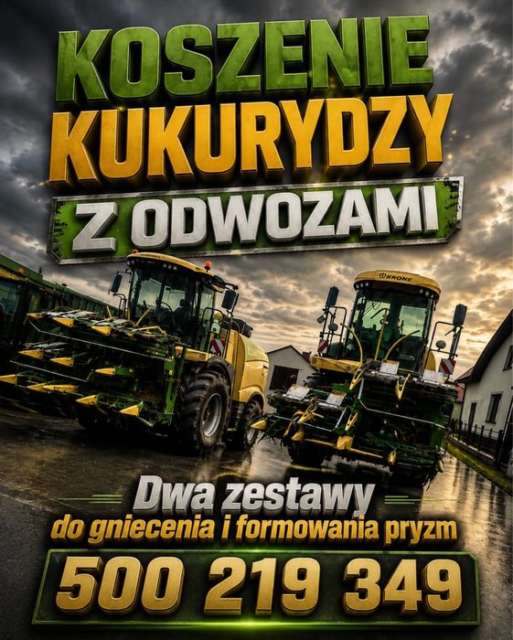 Zbiór kukurydzy na kiszonkę z odwozem i gnieceniem