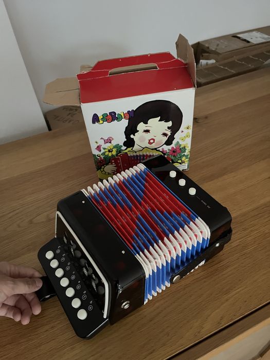 Acordeão Pequeno / Infantil