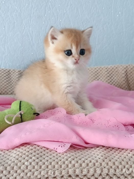 Ідеальна, ніжна і ласкава