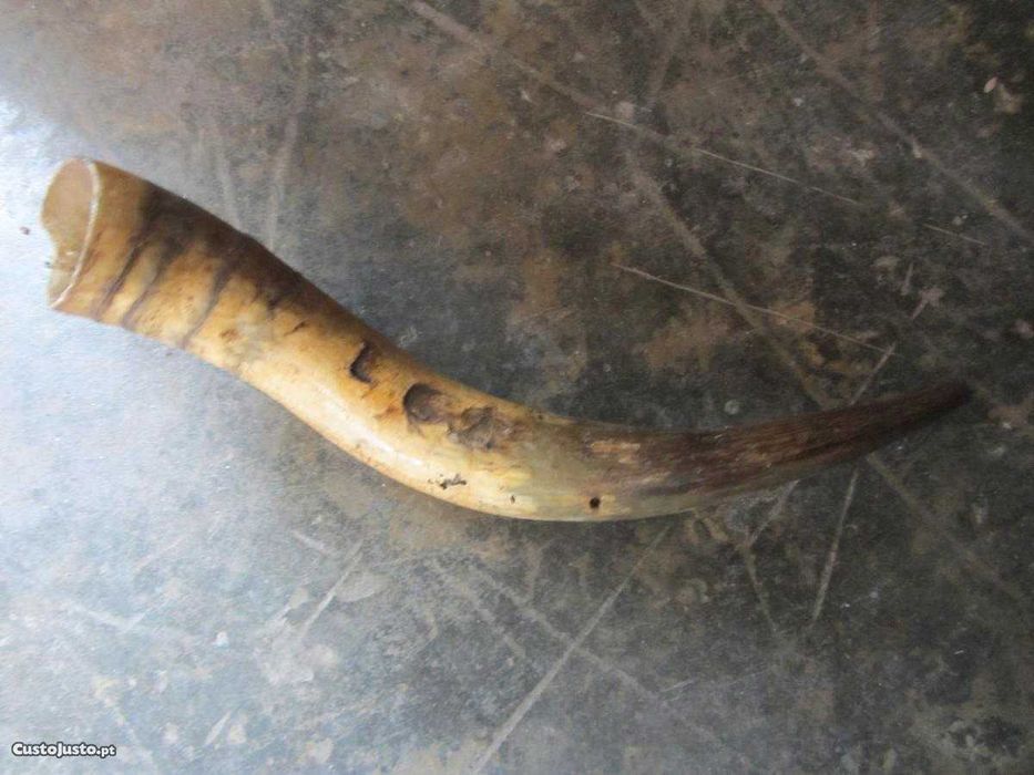 Horn covered with cork and horn covered with metal