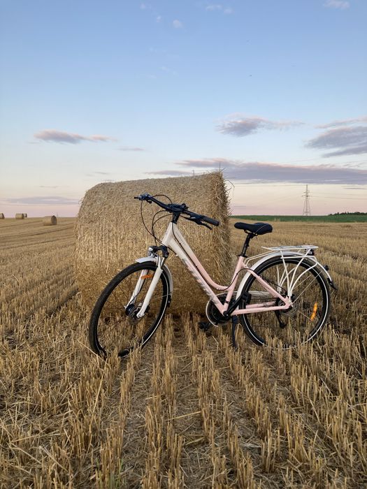 Rower Storm Marathon Lady 9.0 17”