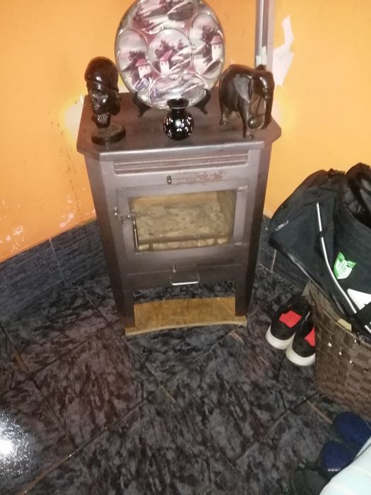 Vendo salamandra