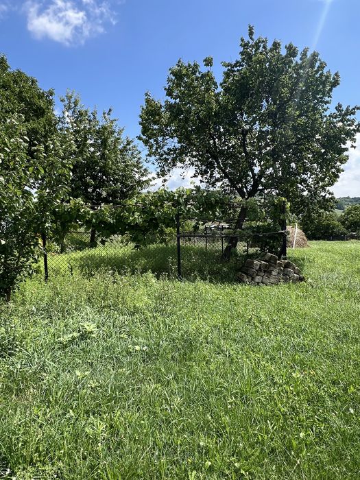 Продаж! Земля 50 сотих + будинок