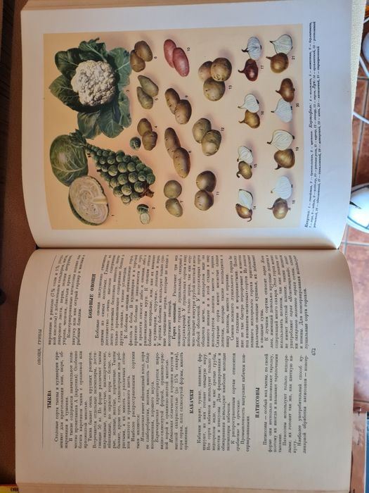 Кулинарная книга Кулинария СССР