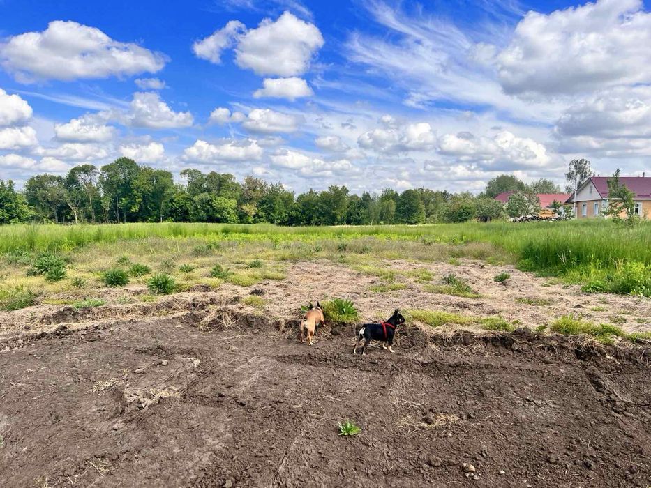 Продам участок 53 сотки!!!