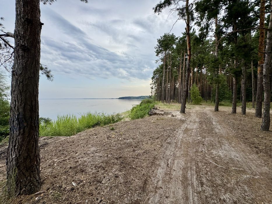 Продаж ділянки від 40 соток до 10Га. с. Ясногородка Киівська область