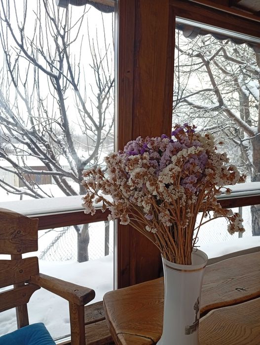 Дерев’яний будиночок | Баня на дровах | Альтанка | Мангал