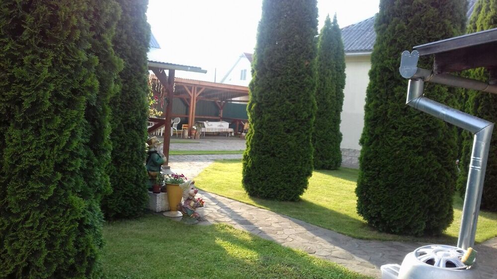 Здається  будинок в затишному місці Свалява!