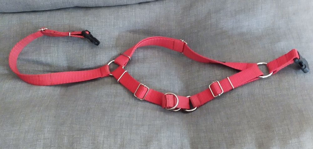 Szelki typu guard dla Owczarka Niemieckiego