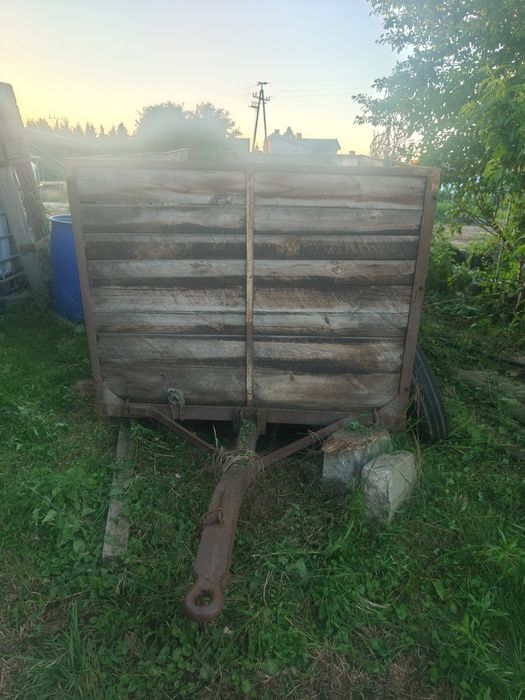 Wózek do świń szweinkosta