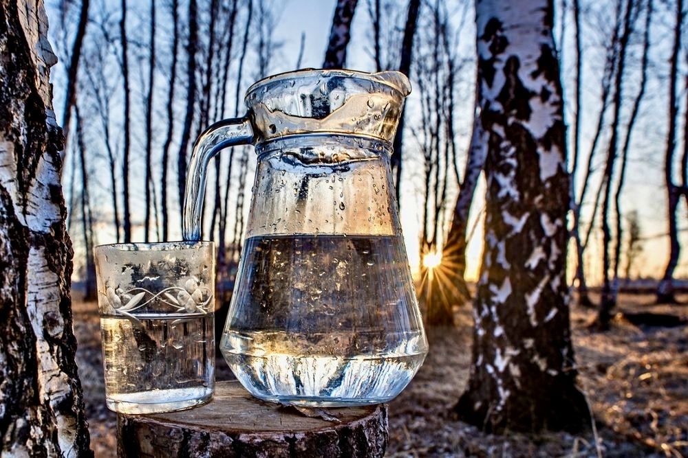 Продам цілющий,вітамінізований,свіжий кленовий сік.