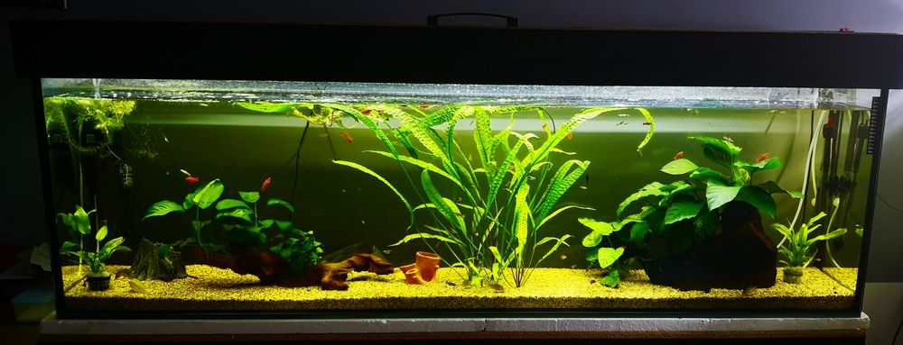 Akwarium 350 L + stelaż