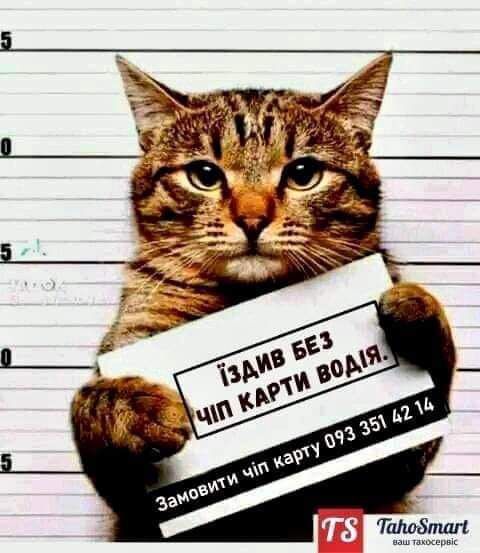 Чіп карта водія тахографа, 95 код.код ADR