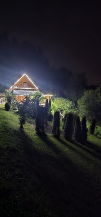 Wynajem domku pod lasem