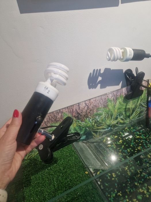 Akwarium z wyposażeniem dla żółwia