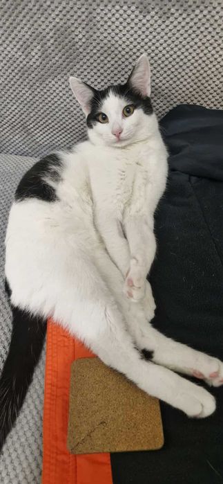 W domu tymczasowym dostałem ksywę Księgowy