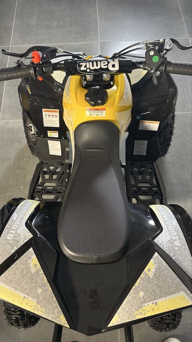 Дитячий бензиновий квадроцикл Renegade 49cc  Квадрик для дітей