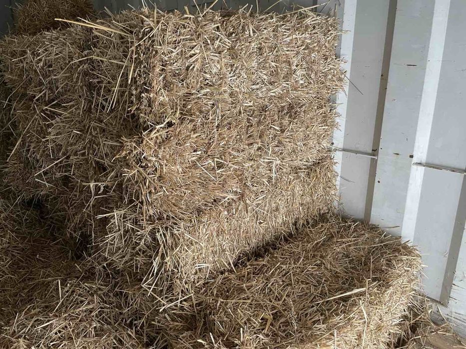 Продам тюки соломи