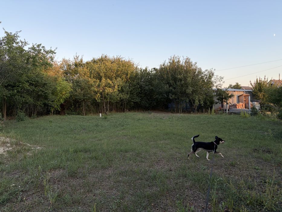 Продам дачу 8 соток Бельбес