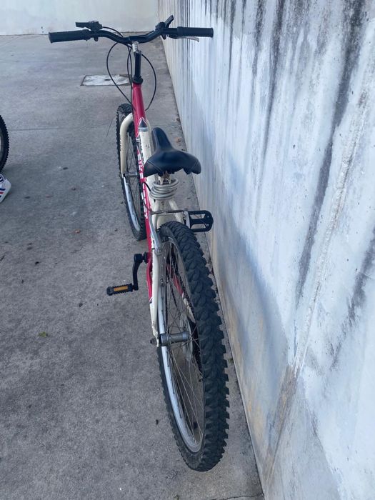 Vendo bicicleta Team Pro