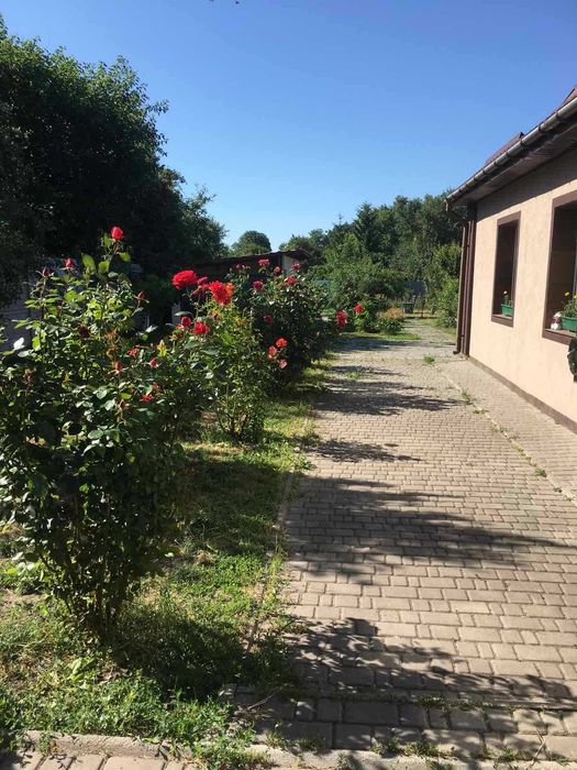 Великий будинок з сучасним ремонтом в Гребінках