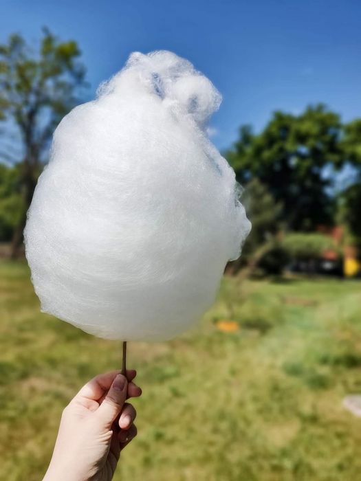 Lodowe Rollsy, lody tajskie, wata cukrowa na wesele, urodziny, imprezy