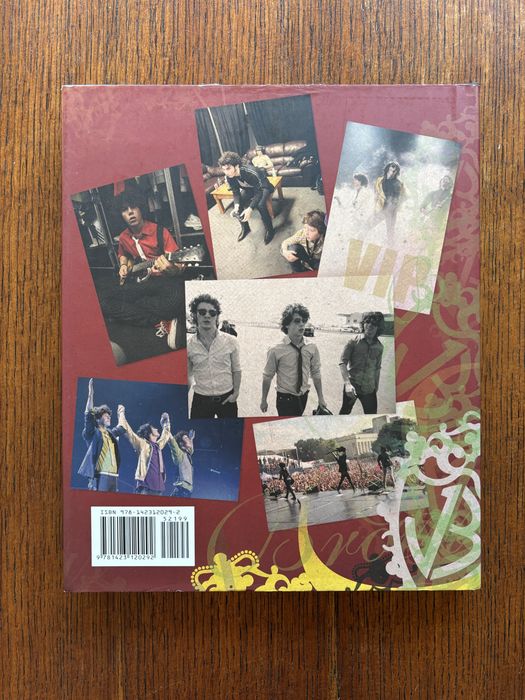 Burnng Up: on tour with the Jonas brothers