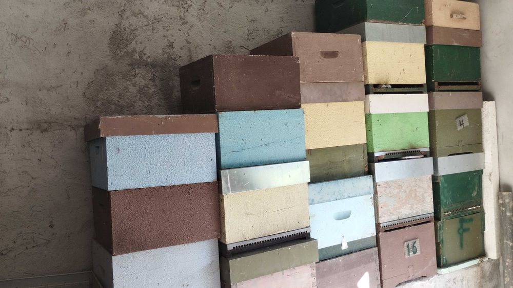 Vendo colmeias usadas reversível ninhos, alças e meias alças VISEU