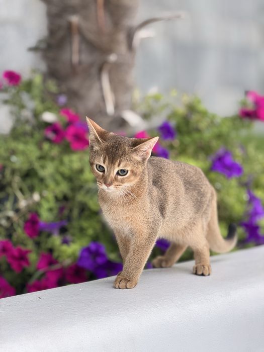 Найніжніший хлопчик чекає на улюблену родину