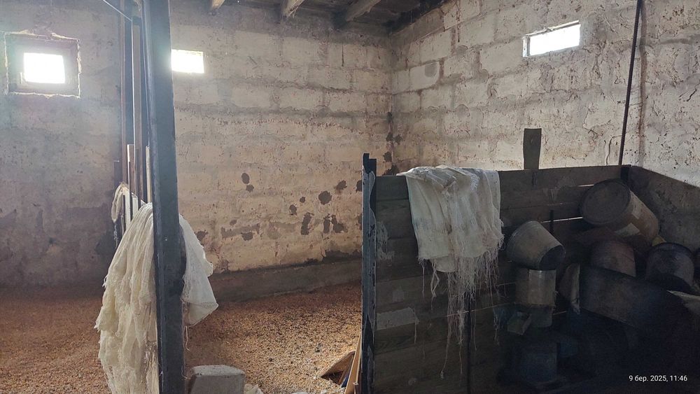 Ферма Свиноферма Скотарство Зерносхови Цех Броварський 600квм 70сот