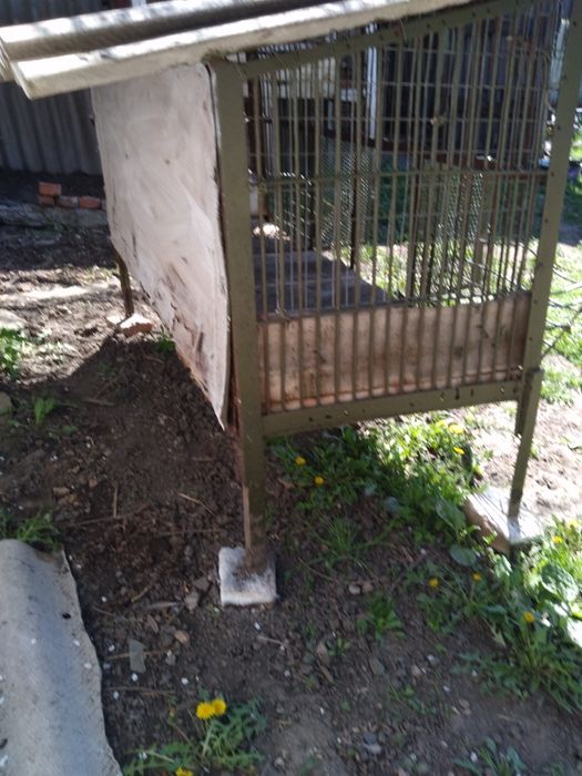 Клітка залізна,вольєр для собаки, для нутрій або кролів