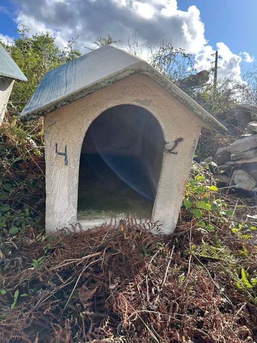 Casota para cão 4