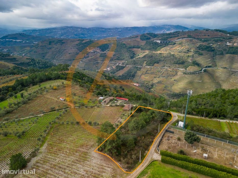 Terreno | Peso da Régua