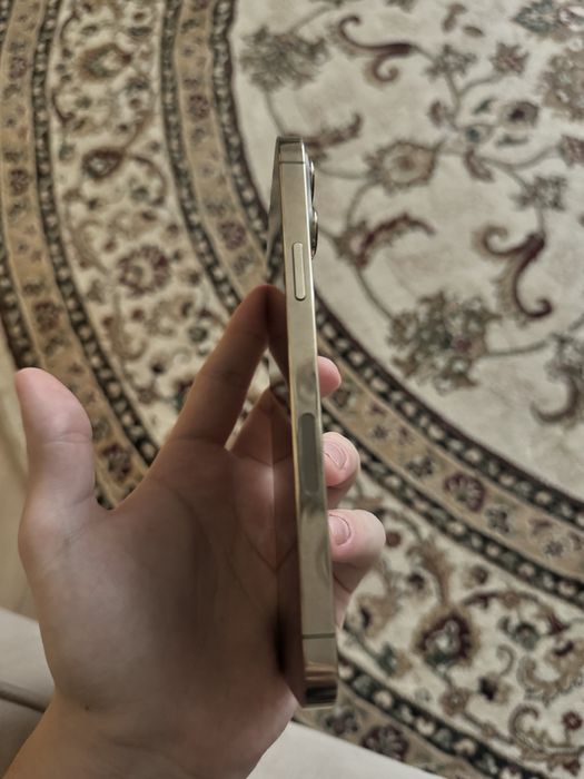 Iphone 13pro max 512 без изьян