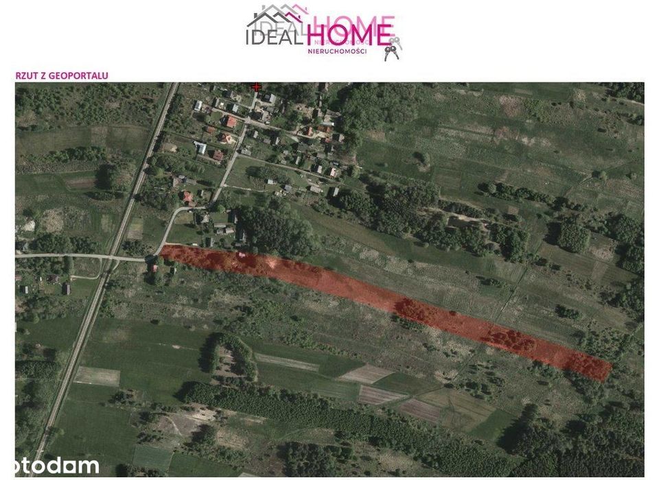 Dom na sprzedaż - Majdan Królewski 2,12ha działki