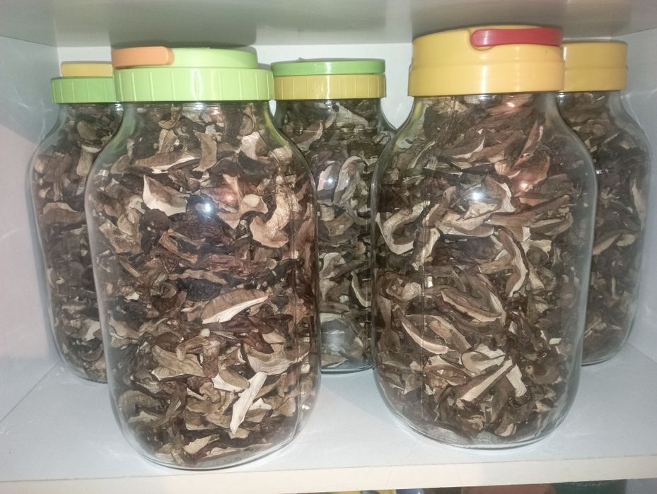 Grzyby suszone, podgrzybki